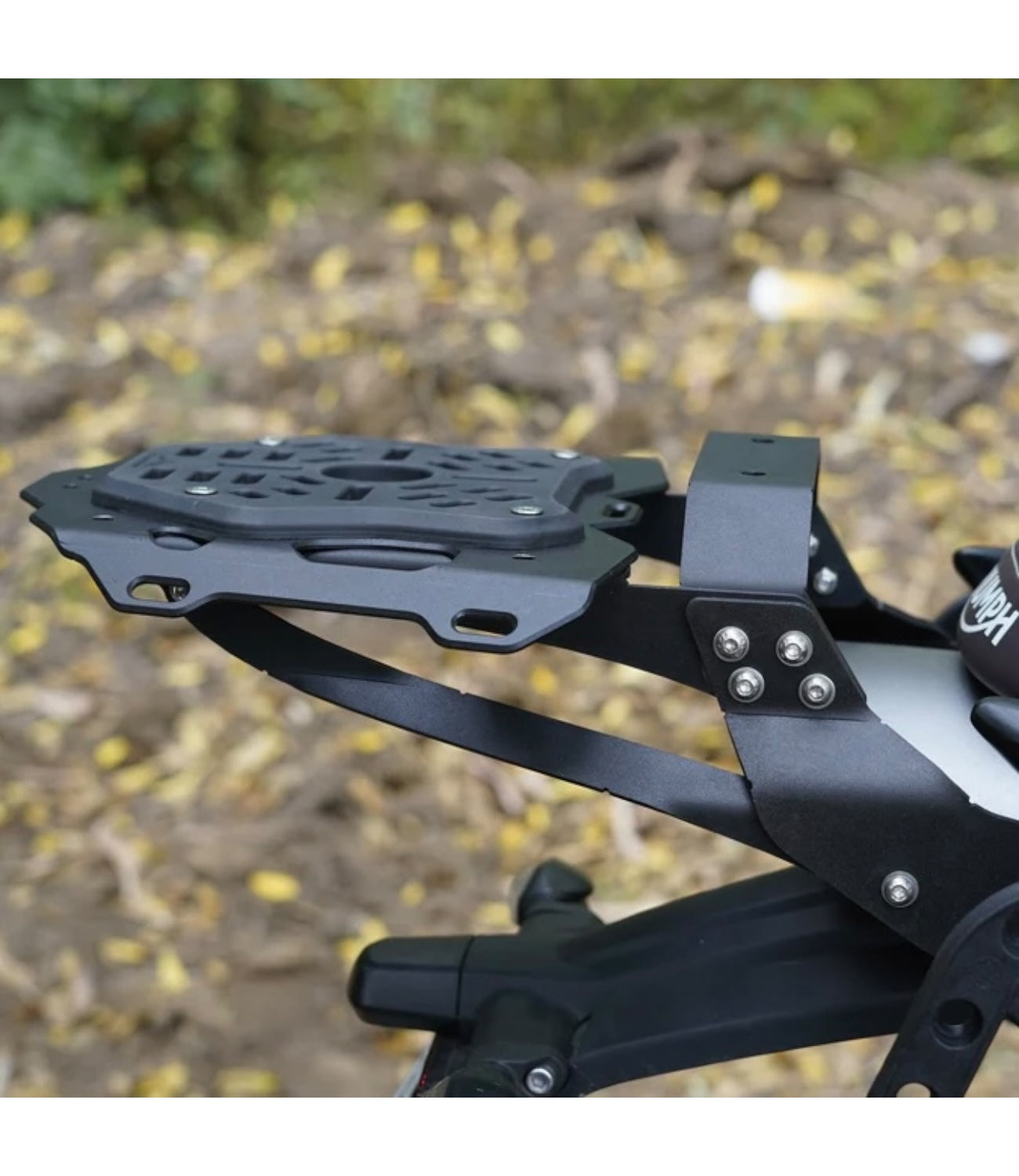 Carbon Racing Top Rack & Back Rest Combo with Vibration Dampener For Triumph Scrambler 400 X - Motodrift