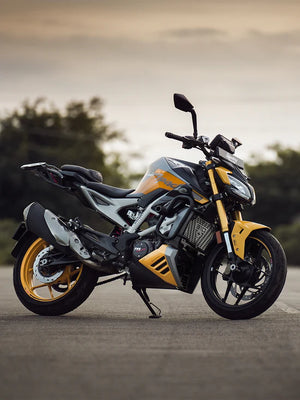 LCB Apache RTR 310 Gopher Luggage Carrier - Motodrift