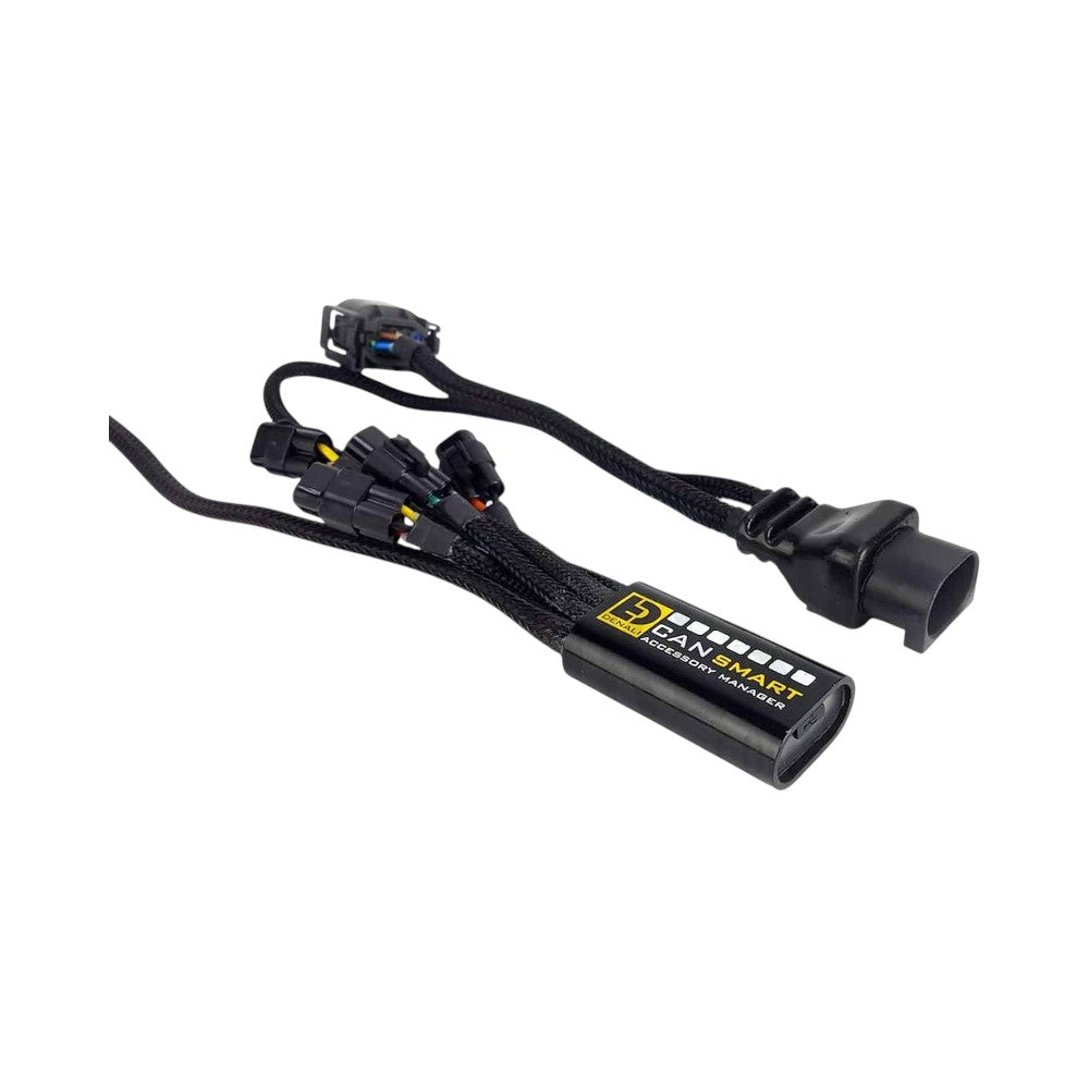 wiring harness with connectors on a white background