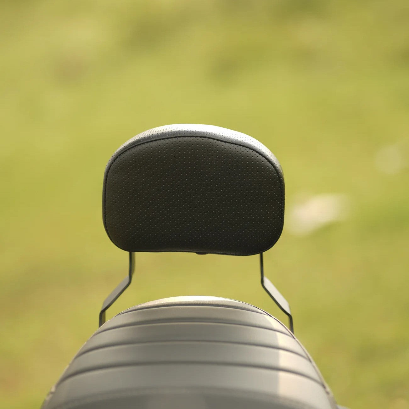 Moto Torque Back Rest For Triumph Speed 400 - Motodrift